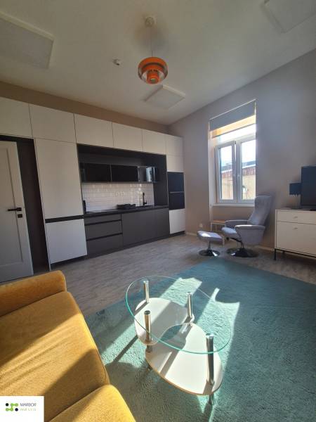 Bright living room in a studio apartment with a kitchen and wooden decor flooring.