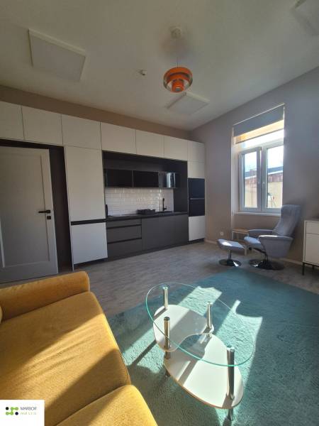 Living room in a studio apartment with wood-patterned flooring, a sofa, and a glass table.