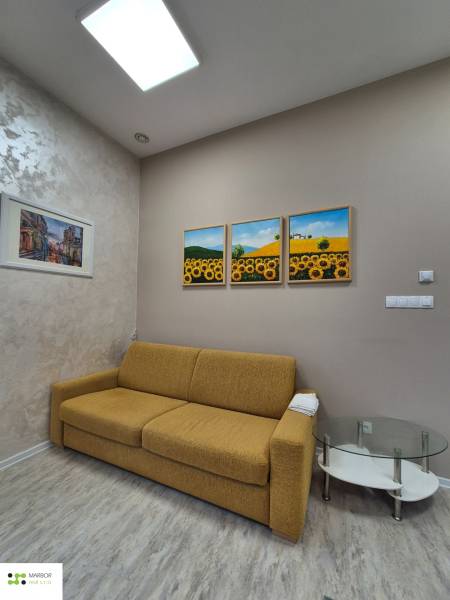 Living room of a studio apartment, with a couch and paintings, on a floor with a wooden decor.