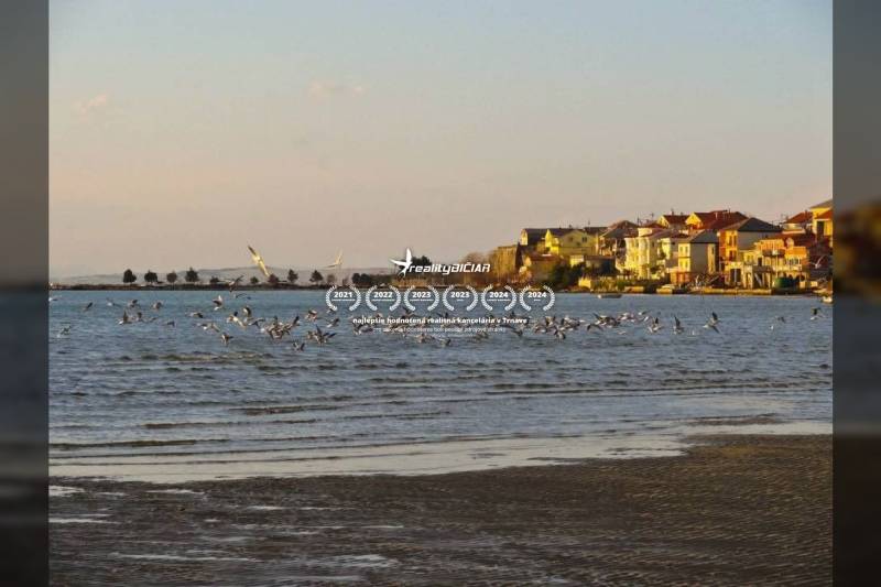 On Ljubač, there are hundreds of seagulls and houses along the coast.
