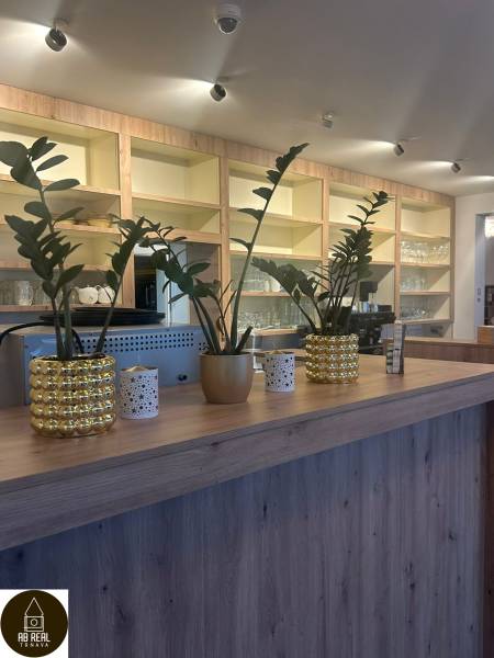 Gastro premises with a counter with wooden decor and plants in pots.