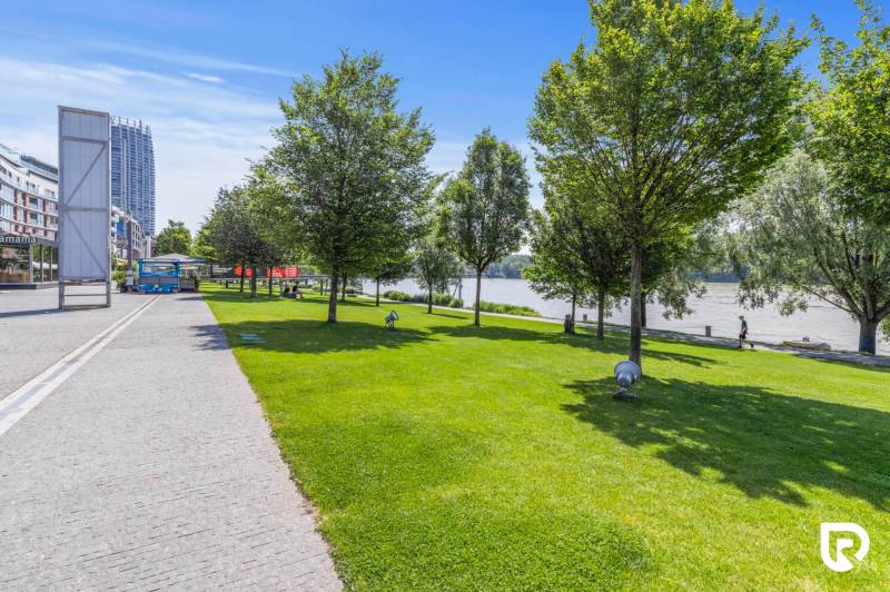 Park greenery by the river on Pribinova Street in Bratislava - Old Town.