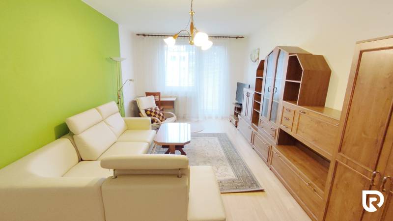 Living room in a 2-room apartment with a cream sofa, green wall, and set.