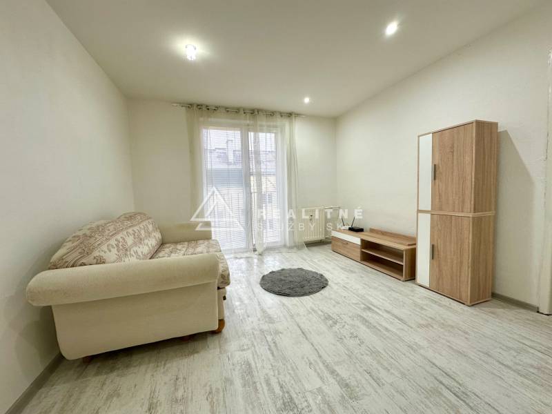 Living room in a 2-room apartment with a sofa, cabinet, and wooden decor flooring.