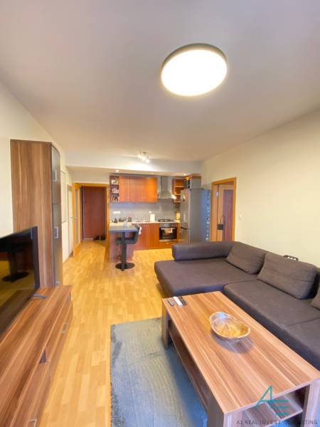 Living room in a two-room apartment with a wooden decor floor and a sofa.