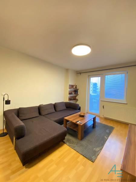 Living room in a two-room apartment with a wooden decor floor and a comfortable couch.