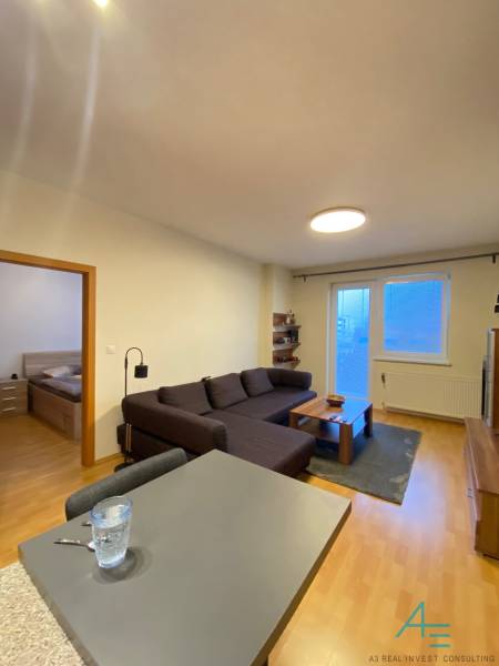 Living room in a two-room apartment with a sofa and a wooden-patterned floor.