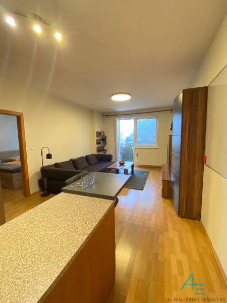 Living room with a kitchen and a wooden decor floor in a 2-room apartment.