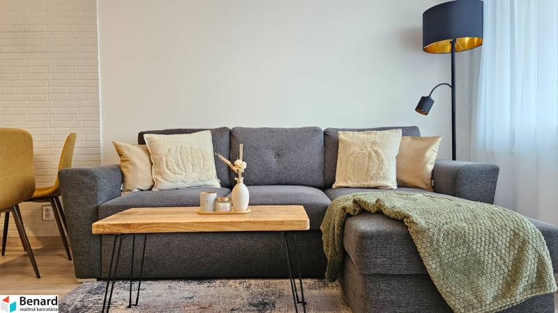 A stylish living room in a studio apartment with a gray sofa and a wooden table.
