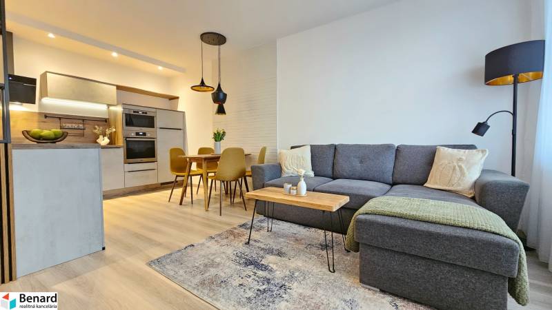 Living room with kitchen in a studio apartment. Gray sofa and floor with wooden decor.