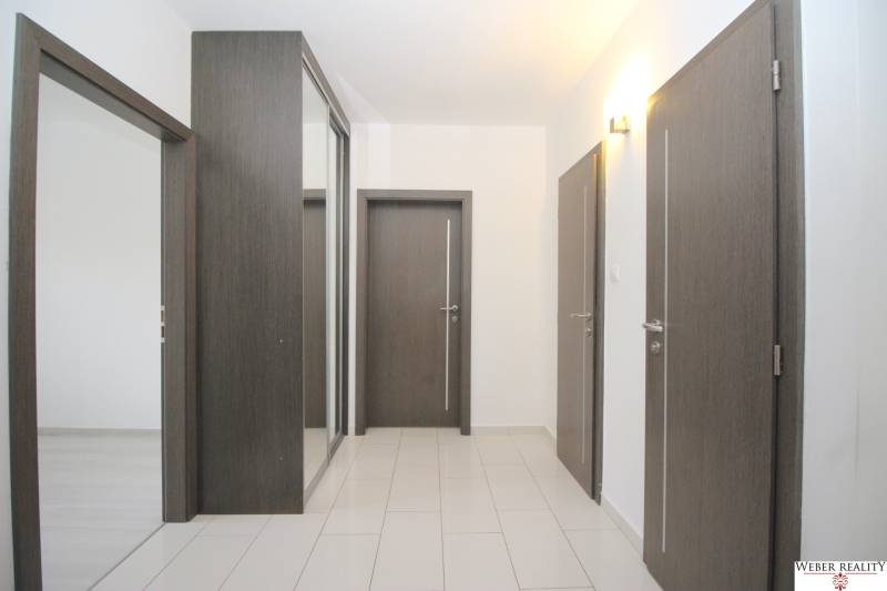 A hallway in a 3-room apartment with doors in dark wood decor and light flooring.