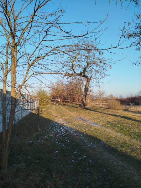 Residential plots in Galanta on Hodská Street, snowy landscape with trees.