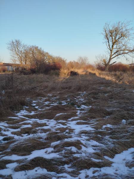 A plot of land on Hodská Street in Galanta with grass cover and remnants of snow.