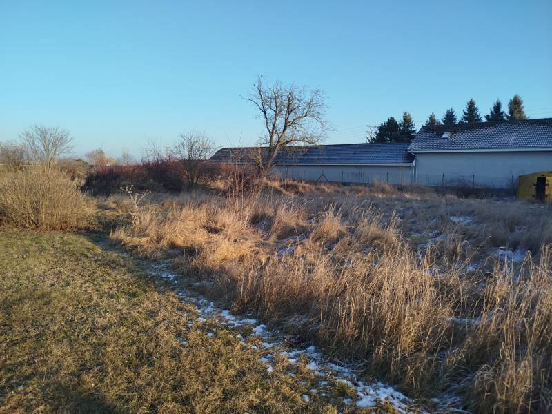 Residential plots on Hodská Street in Galanta with grass cover and several shrubs.
