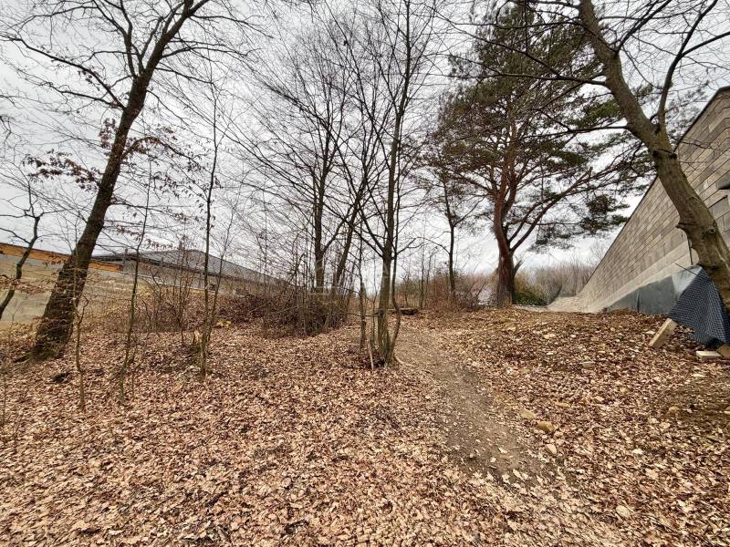 The residential plot in Veľká Bytča is covered with leaves and surrounded by trees.