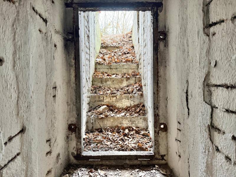 A staircase leading from the underground covered with leaves, on the property - housing in Bytča, Veľká Bytča.