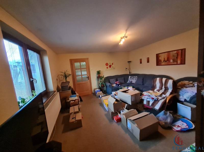 Living room in a family house with cardboard boxes, a sofa, and decorations on the walls.