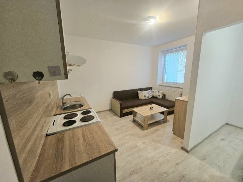1-bedroom apartment with a kitchenette and a sofa, floor with wood decor.