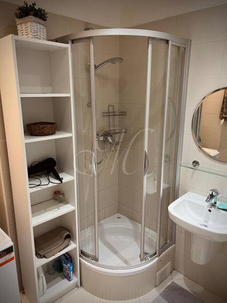 Bathroom in a 2-room apartment with a corner shower, sink, and white shelf.