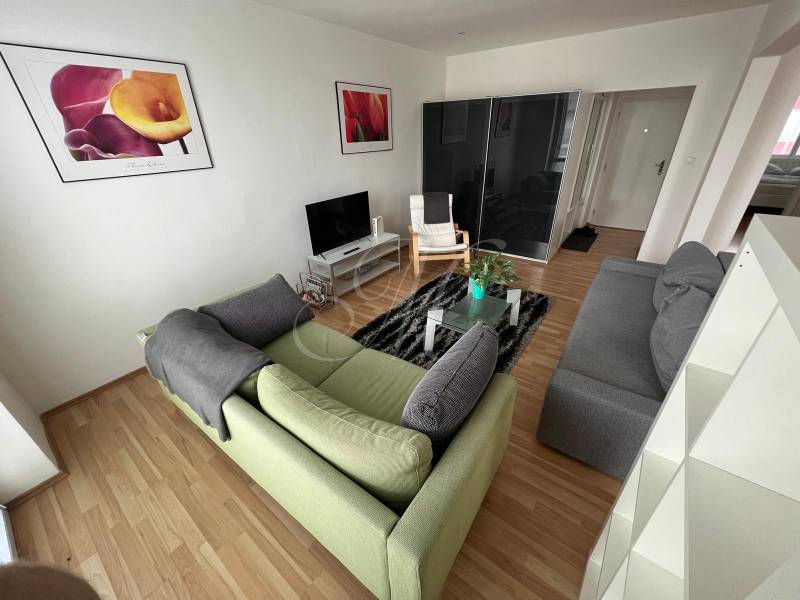 Living room in a two-room apartment with a sofa, television, and paintings on the walls.