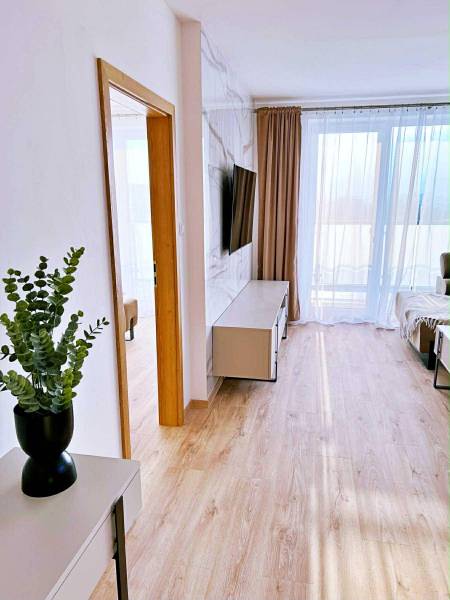 Interior of a 3-room apartment with wood-patterned flooring, TV, and curtains.
