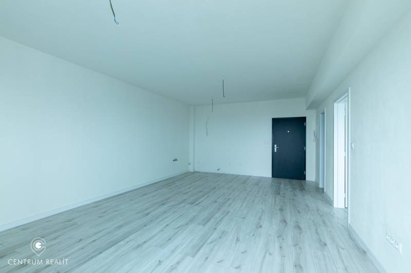 A spacious room with a wood-decorated floor, white walls, and black doors.