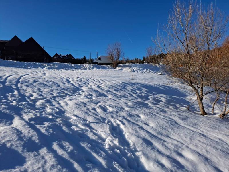 Snow-covered residential lands in Ždiar with trees and a blue sky.