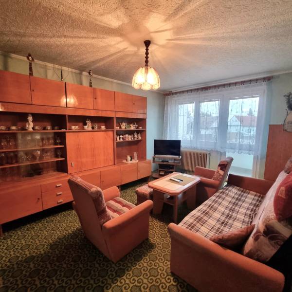 A living room of a three-room apartment with retro furniture and a green carpet.