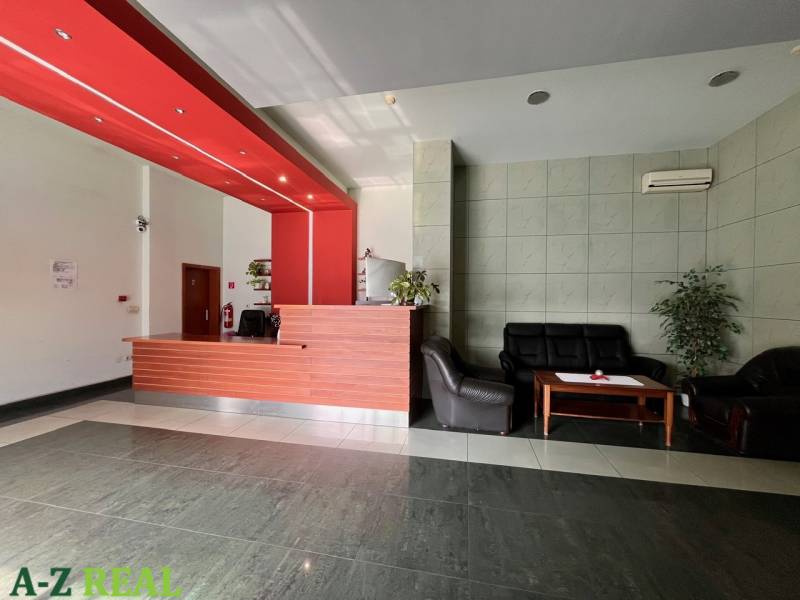 Reception in offices with a red ceiling, sofas, and plants.