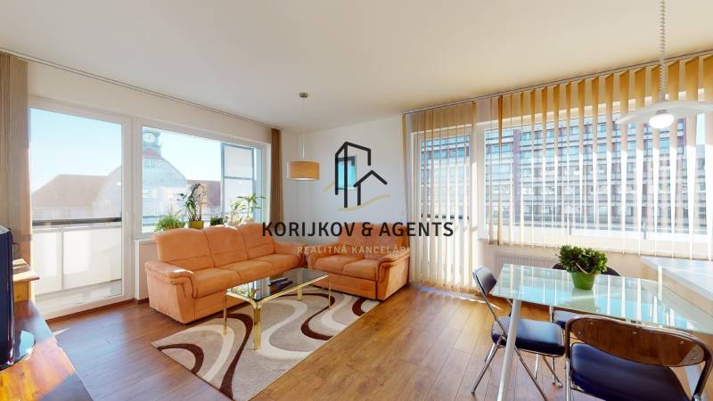 Living room in a two-room apartment with a wooden decor floor and a comfortable sofa.
