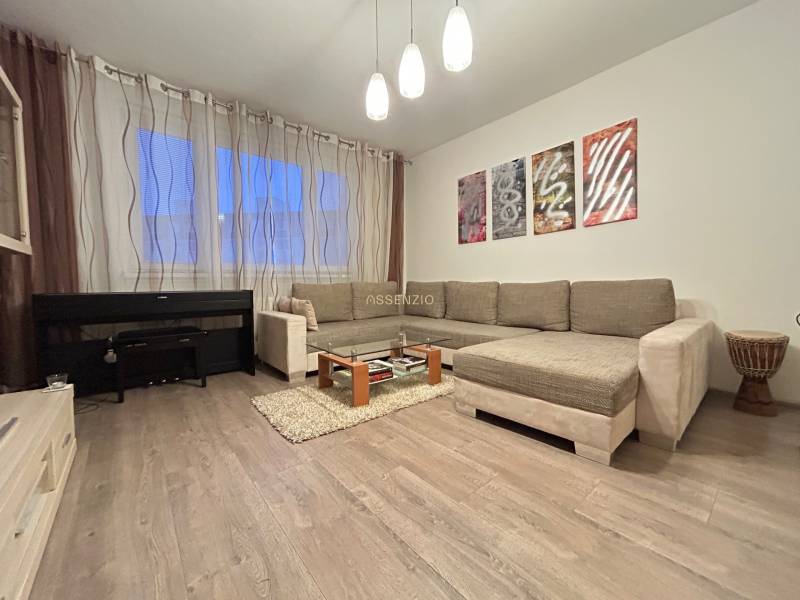 Living room in a 2-room apartment with a sofa, piano, and wooden decor flooring.