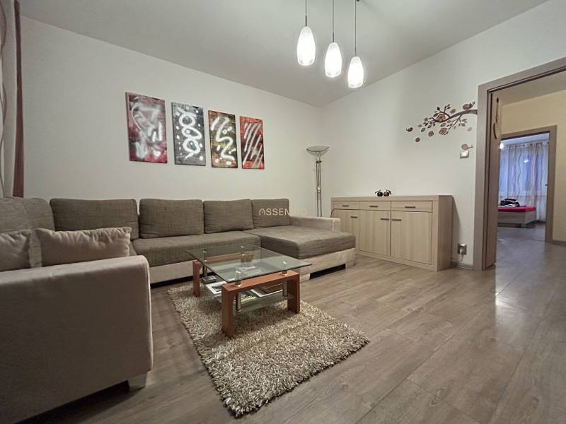 Living room in a two-room apartment with a wooden decor floor and a comfortable sofa.