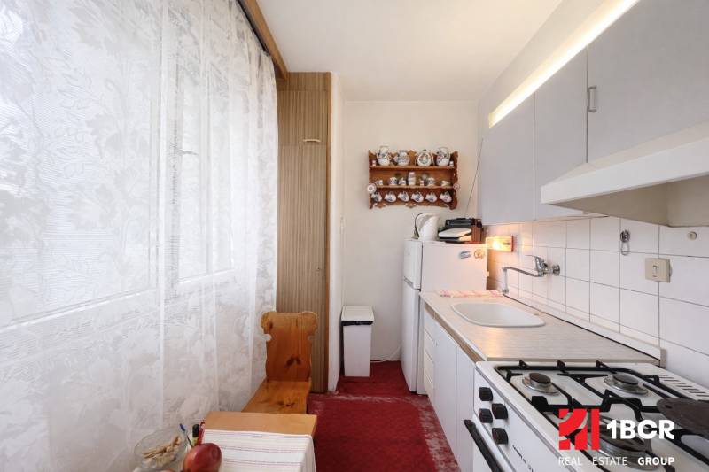 Cozy kitchen with a gas stove and rustic decor in a studio apartment.