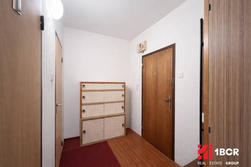 A hallway in a one-room apartment with a shoe cabinet, a red carpet, and a wooden decor floor.