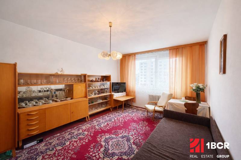 Living room in a one-room apartment with furniture and a carpet with a red pattern.