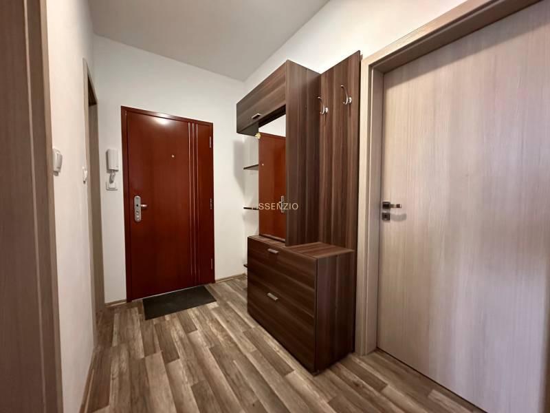 Entrance hall in a 3-room apartment with furniture and flooring featuring a wood design.