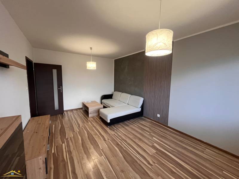 Living room of a two-room apartment with a wooden decor floor, sofa, and lamp.