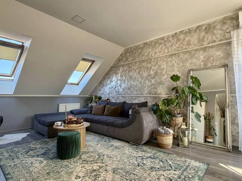 Living room in a two-room apartment with a wooden decor floor, a sofa bed, and plants.