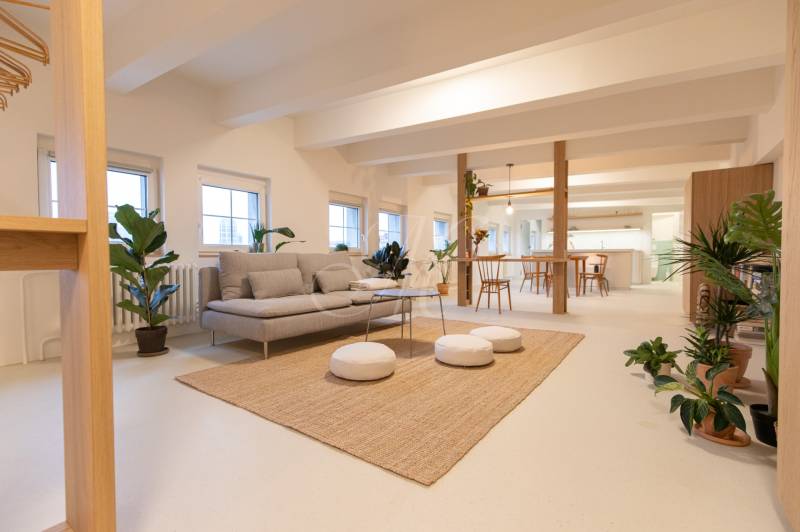 A bright living space in a 3-room apartment with a sofa, plants, and a dining area.