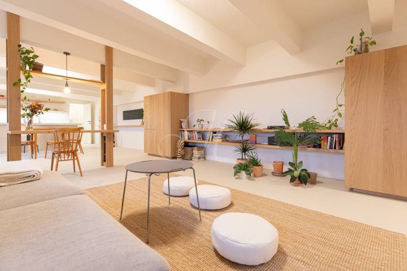 Interior of a 3-room apartment with plants, wooden decor, and open space.