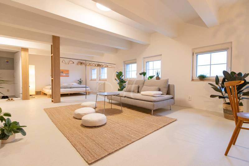 Bright 3-room apartment with a sofa, plants, table, and bed in an open space.