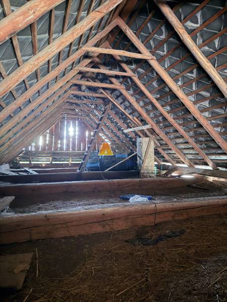 Attic space of the cottage with wooden beams and roof structure.
