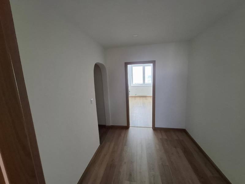 A hallway in a 5 or more room apartment with a wooden decor floor.
