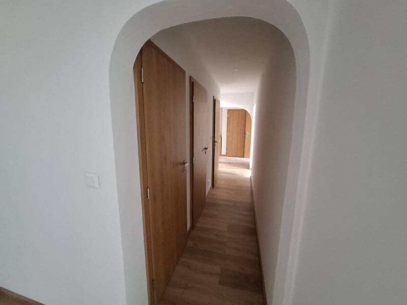 A hallway in a 5 or more room apartment with a wooden decor floor and wooden doors.