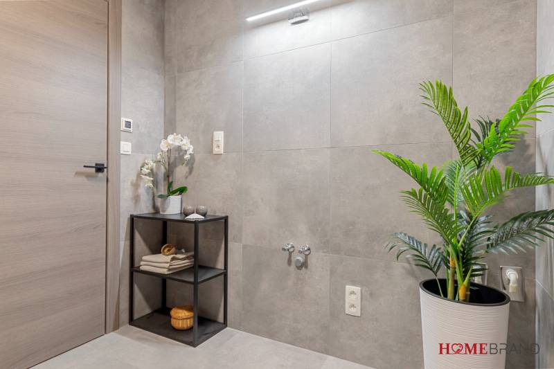 A bathroom in a 3-room apartment with gray walls, a green plant, and storage space.