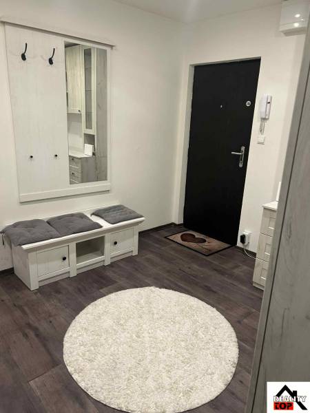 A hallway in a 3-room apartment with a wood-patterned floor and a mirror.