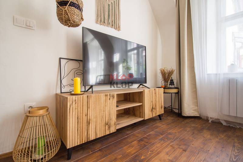 Living room with a television, wooden decor stand, and decorations in a studio apartment.