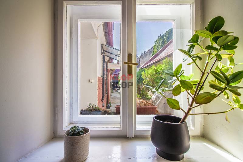 A view from a one-room apartment through a window with plants on the windowsill.