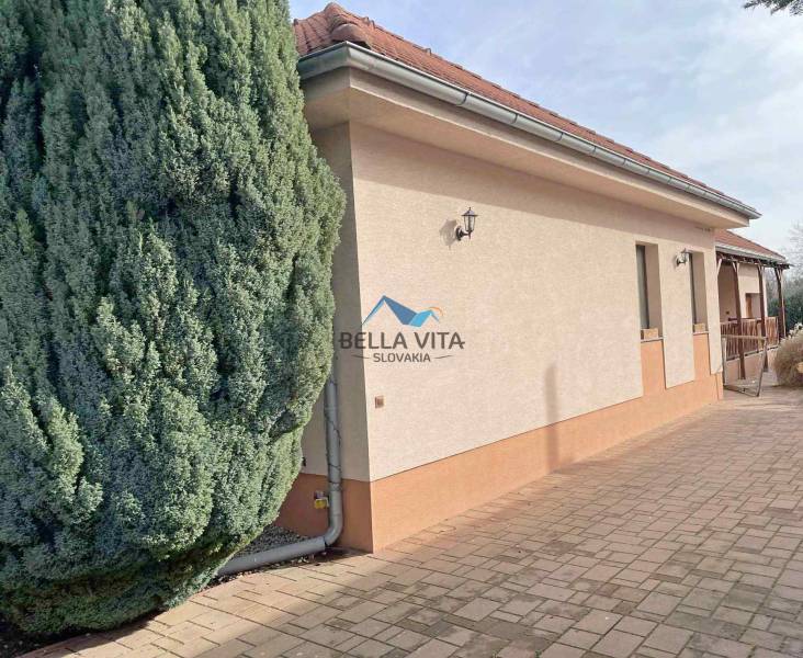 A family house on Hodská Street in Galanta with a brick roof and a large conifer.