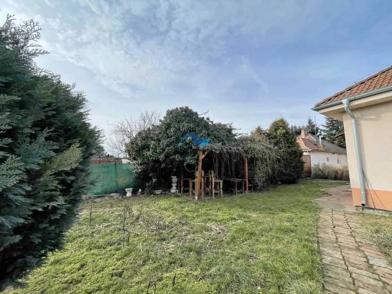 A grassy garden at a family house on Hodská Street in Galanta, with a pergola covered among the trees.